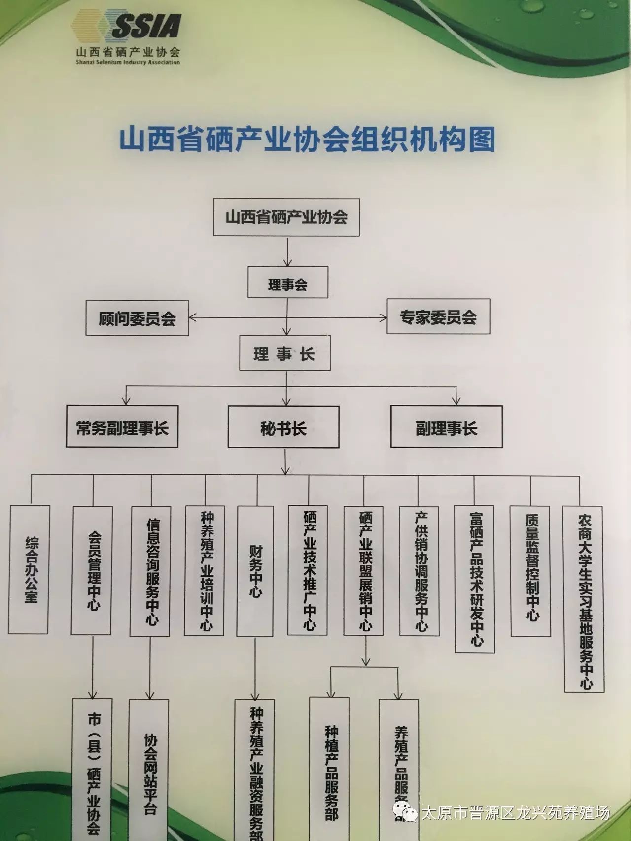 富硒玉米黄鸡蛋