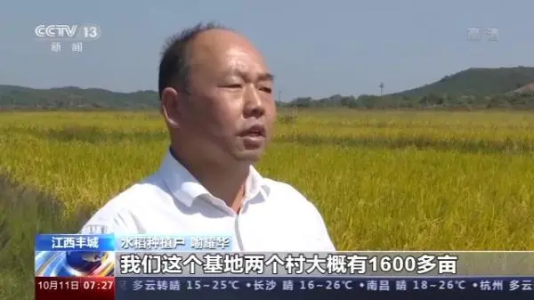 富硒水稻（种植技术经验介绍）-硒宝网