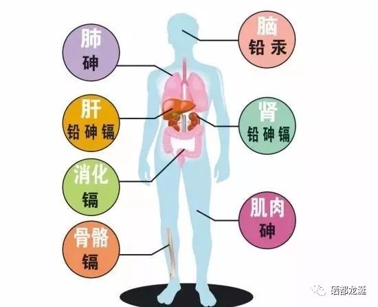 硒的美誉有哪些