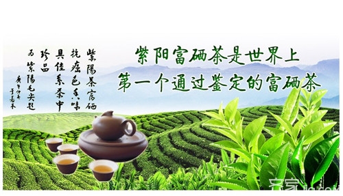 含硒茶叶有什么功效