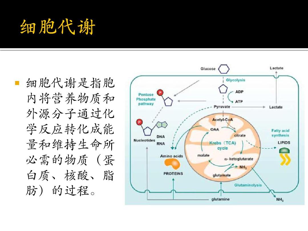 正常人用补硒吗