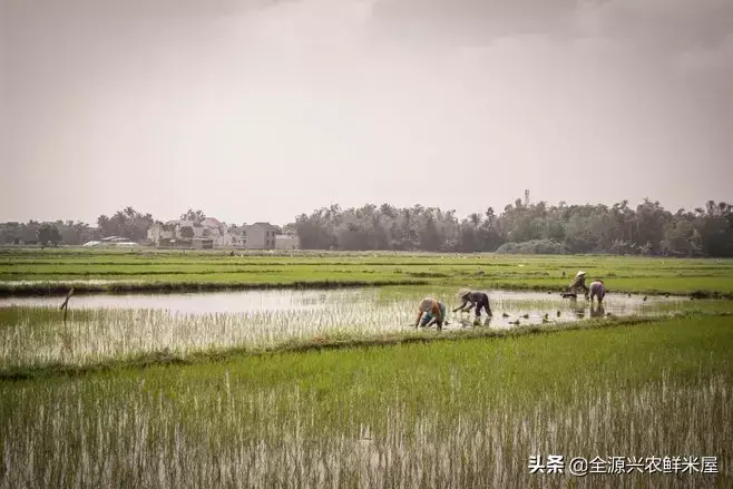 富硒有什么好处