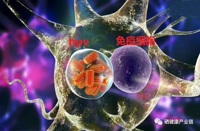 硒治疗hpv