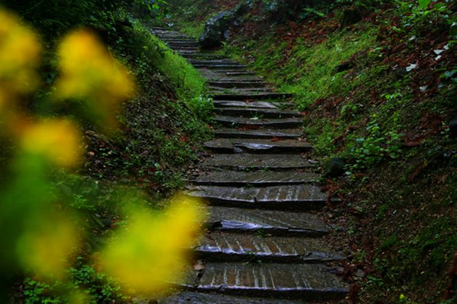 安徽富硒村在哪里