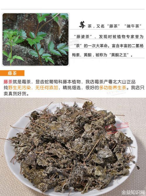 藤茶的作用和功效是什么