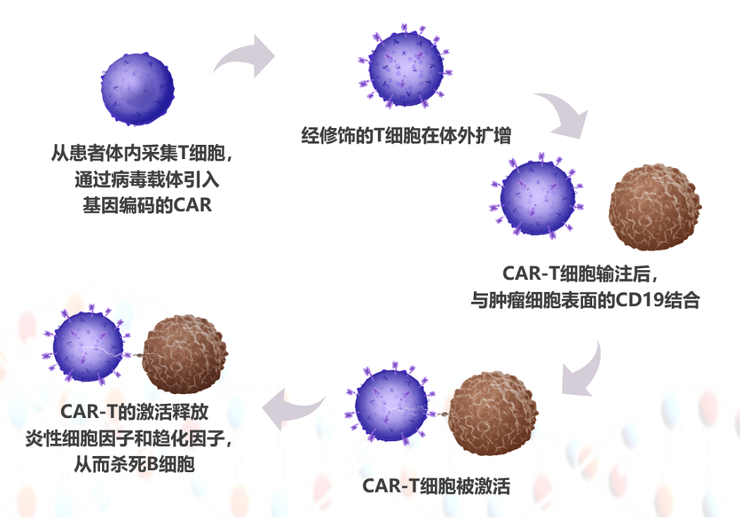 女性补硒有什么副作用