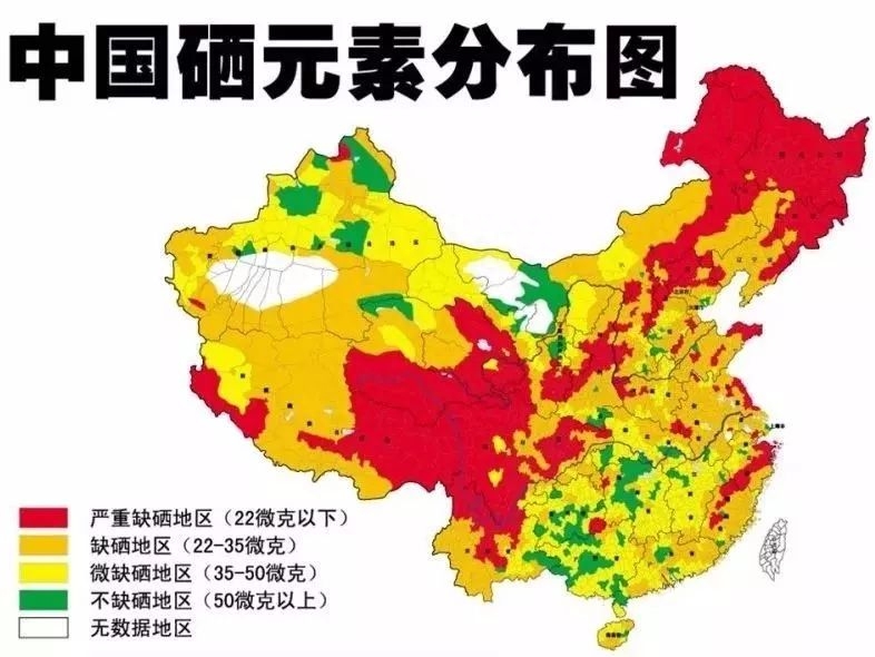 人为什么补硒