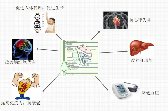 补硒对睡眠有帮助吗