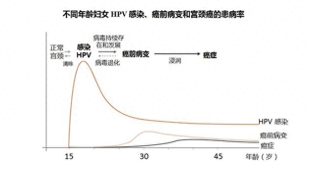 hpv可以补硒吗