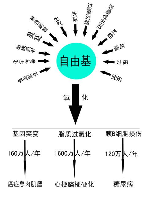 补硒后的调理反应