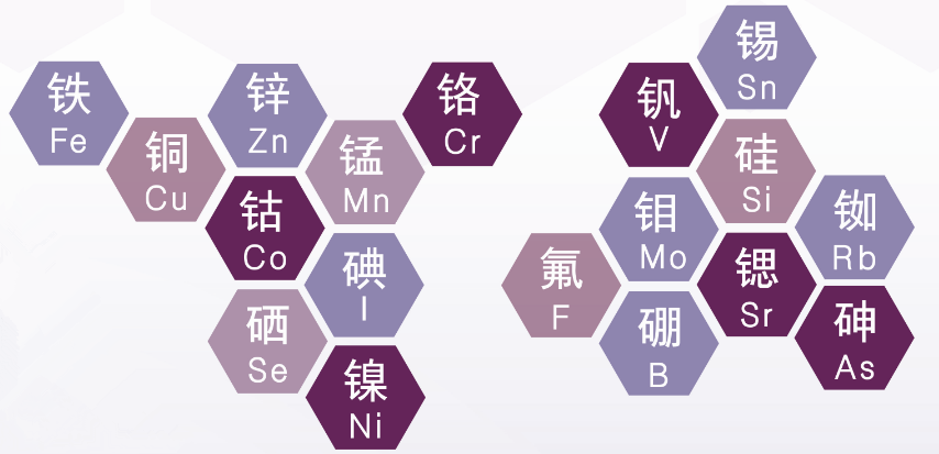 补充硒的药物有哪些