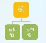 补硒要补什么样的硒