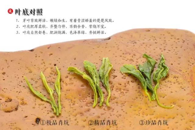 野生富硒茶是什么茶