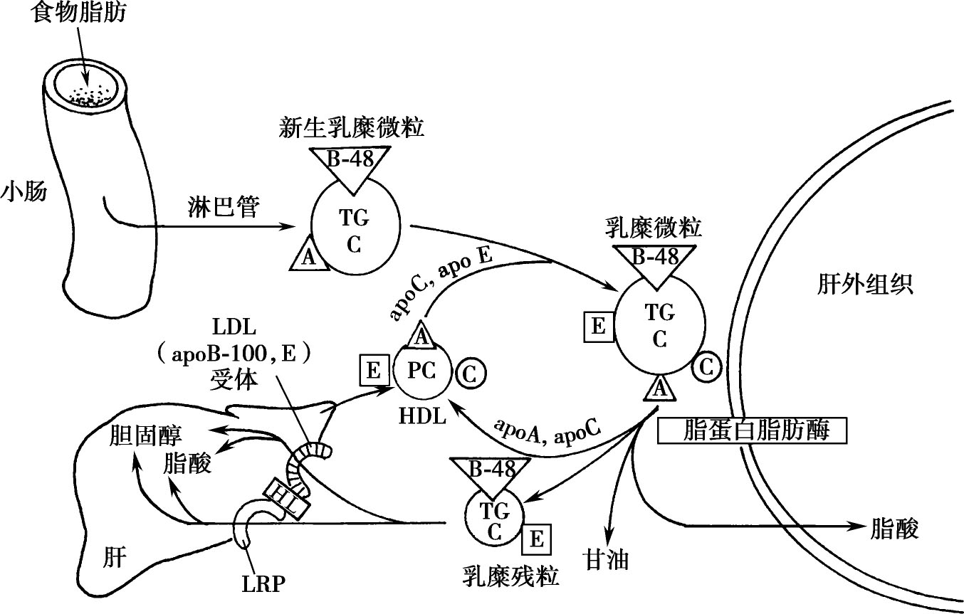 身体需要补硒吗