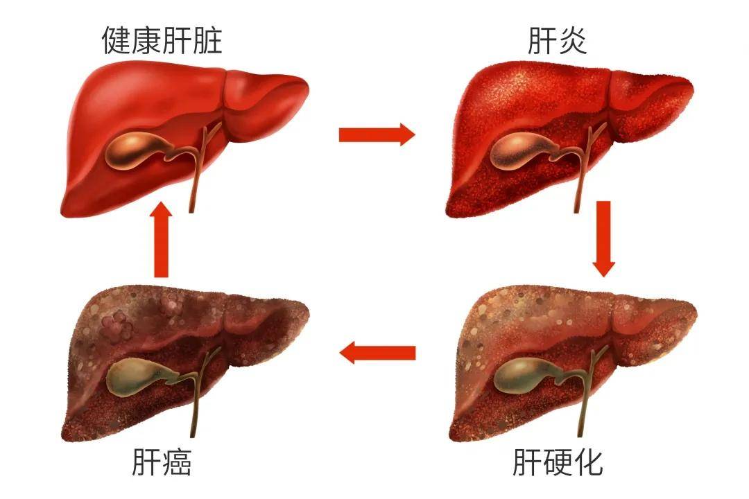 吃中药可以补硒吗