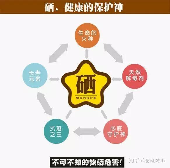 补硒的保健品有哪些