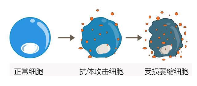 甲状腺炎可以补硒吗