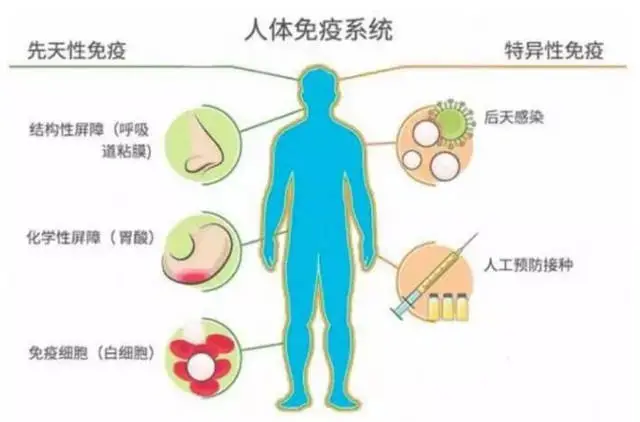 补充硒有副作用吗