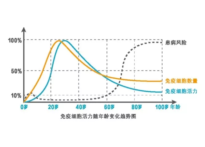 补充硒有副作用吗