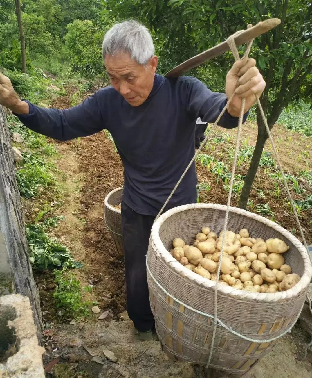 恩施富硒鸡蛋