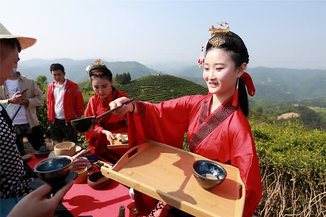 富硒紫阳茶多少钱一斤