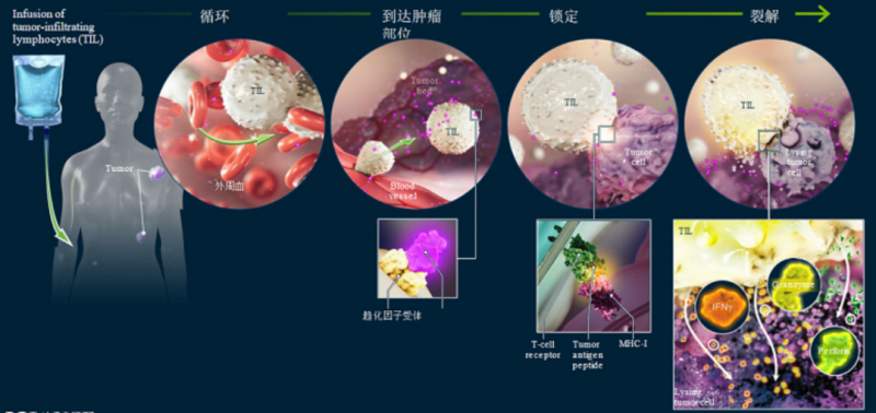 化疗后补硒有用吗