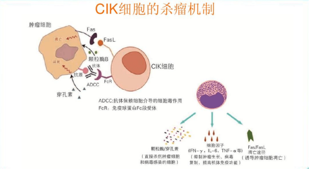 化疗后补硒有用吗