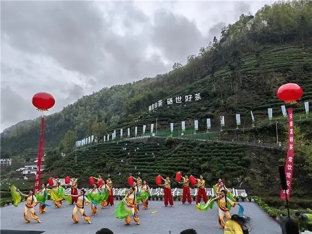 南宫山富硒茶