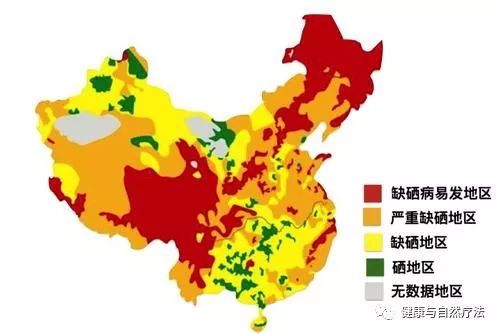 补硒应该补植物硒蛋白