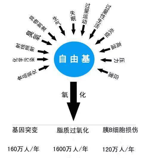 什么食物补硒效果最好