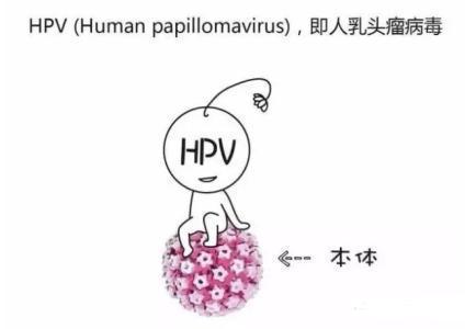 hpv患者可以补硒么