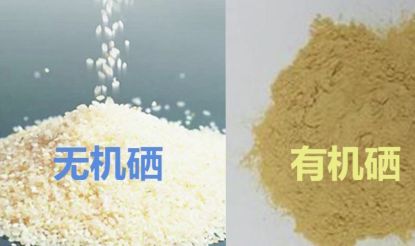 含硒丰富的食物补什么