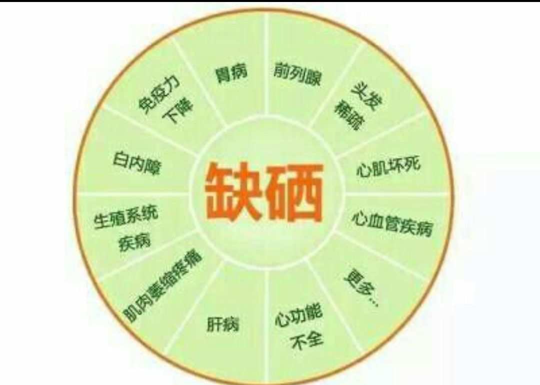 补硒后身体有调节反应