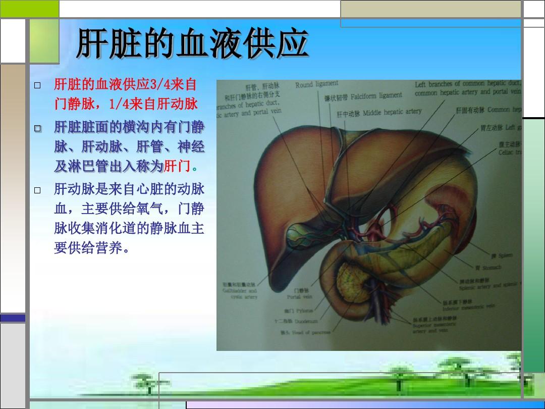 肝炎补硒吃什么素菜好