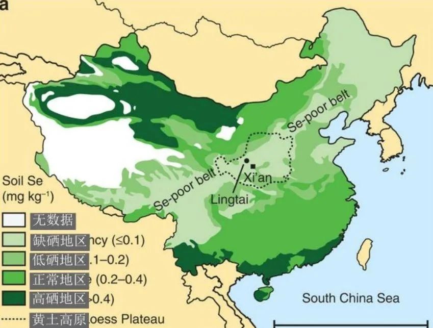 补硒元素是不是抗生素