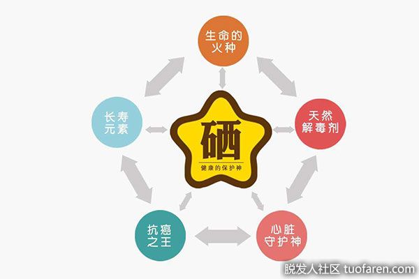 【图】矿物质硒是什么？