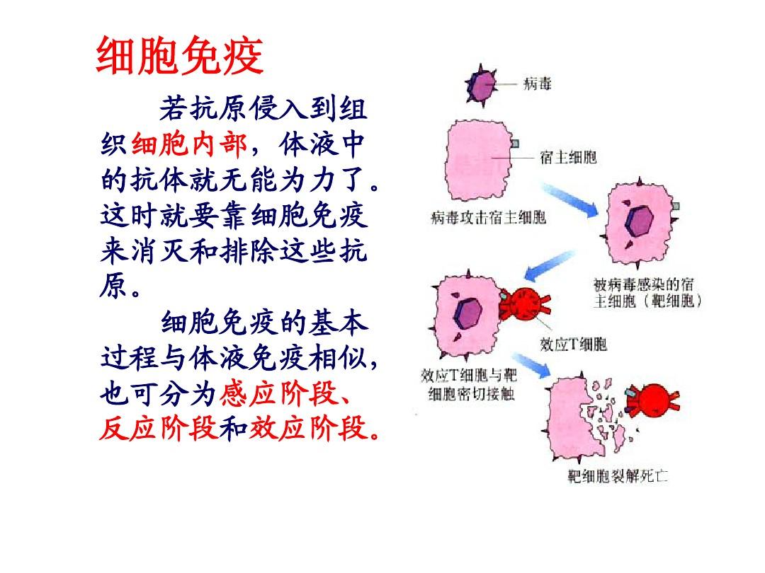 补硒元素是什么意思啊