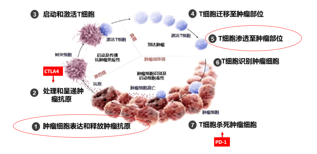 乳腺癌跟补硒有关系吗