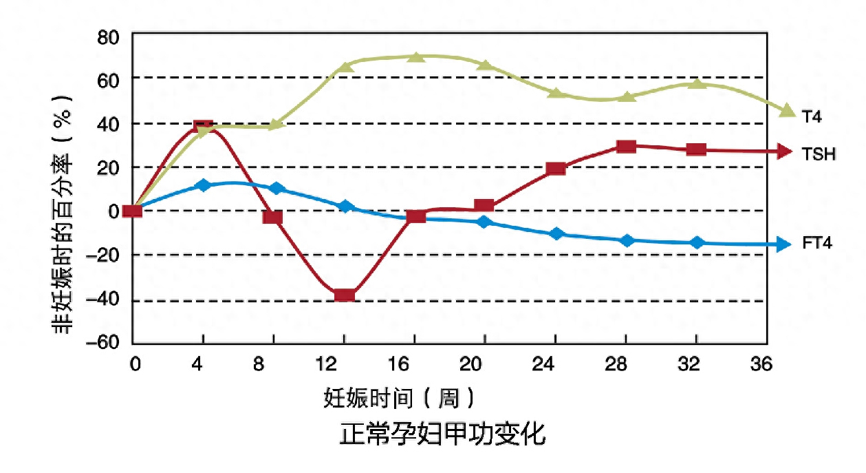 补硒会让甲亢变甲减吗