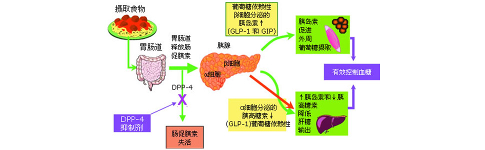 血糖高补硒身上会痒吗