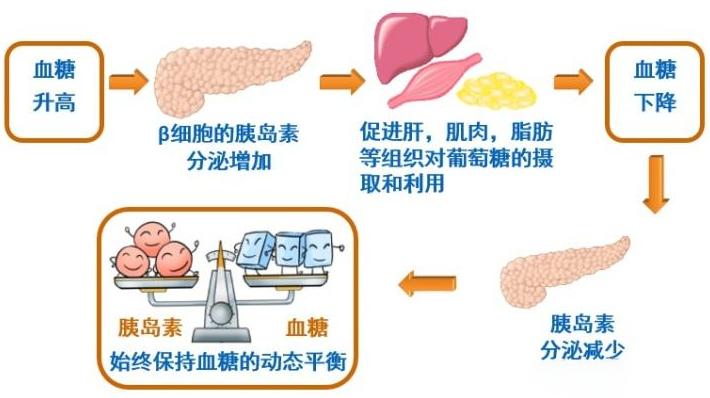 血糖高补硒身上会痒吗