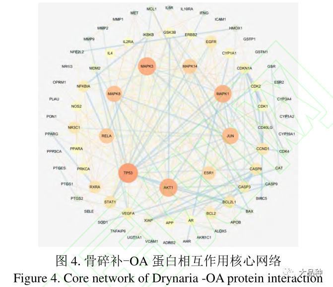 骨关节炎补硒有好处吗