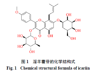 骨关节炎补硒有好处吗