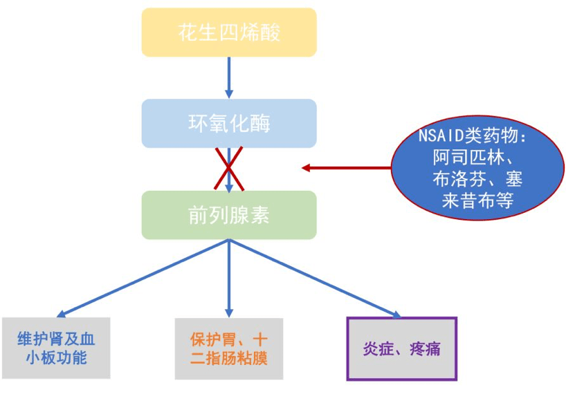 补硒对前列腺有用吗吗