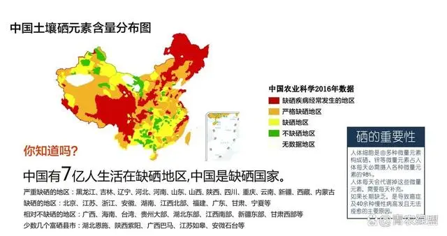 科学补硒首选富硒食品