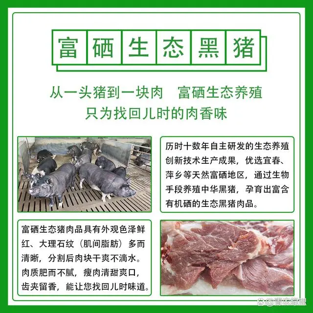 科学补硒首选富硒食品