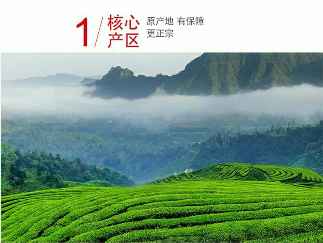 喝富硒绿茶可以补硒吗