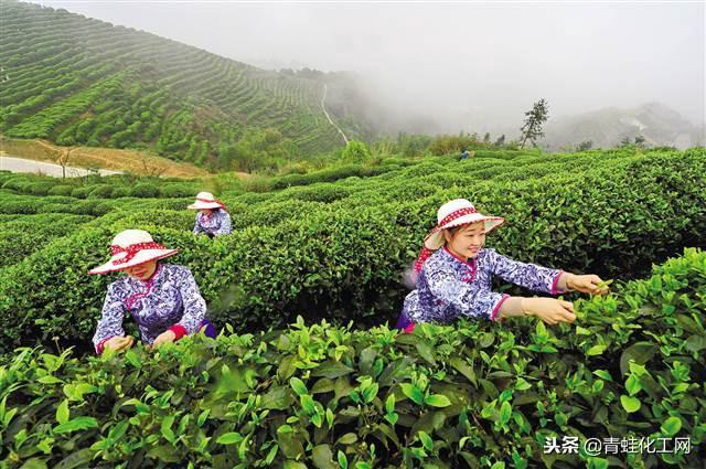 富硒地区的人能补硒吗