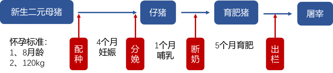 母猪补硒仔猪还用补吗