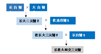 母猪补硒仔猪还用补吗